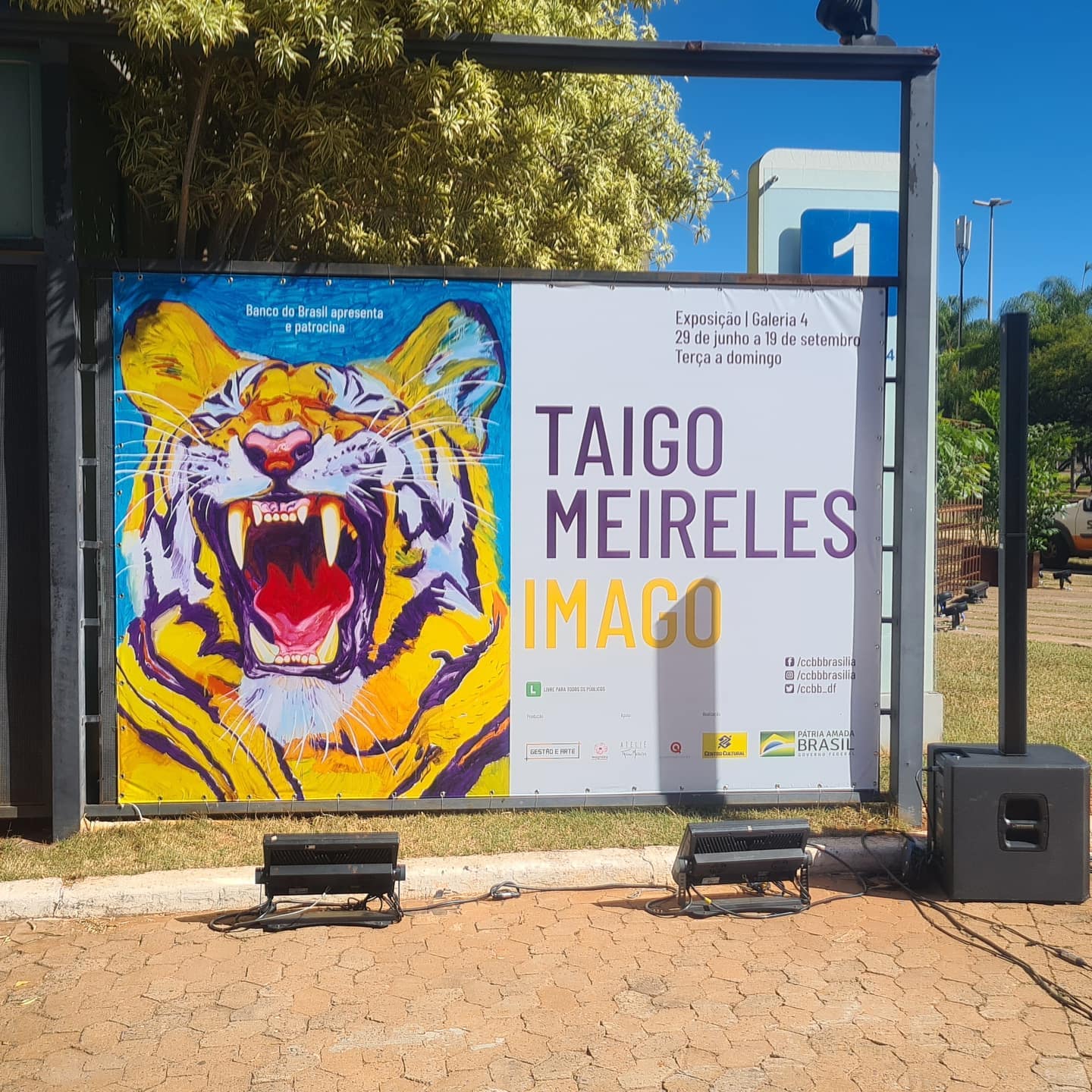 Projeto de comunicação visual da FOCO em Brasília